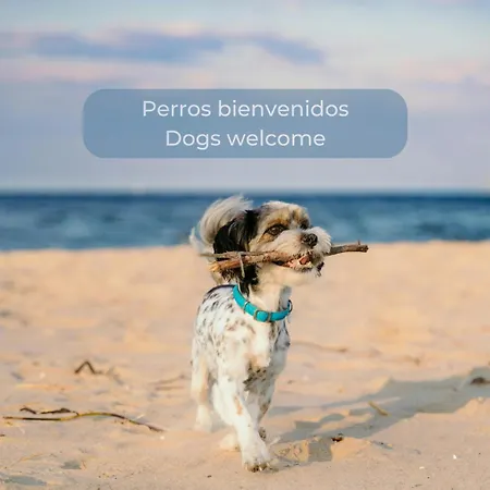 Chocolate Brownie Piscina, Terraza, Planta Baja, Parking Y Wifi * Коральео