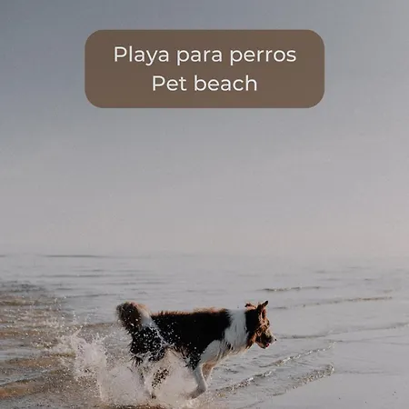 Chocolate Brownie Piscina, Terraza, Planta Baja, Parking Y Wifi Апартаменты *