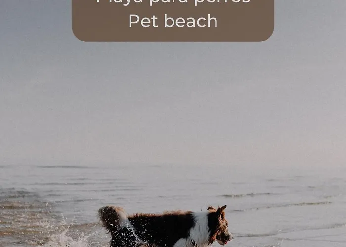 Chocolate Brownie Piscina, Terraza, Planta Baja, Parking Y Wifi Διαμέρισμα *